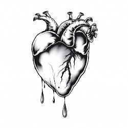 Bleeding heart